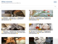 Сайт о кошках и котах, ИКС 150